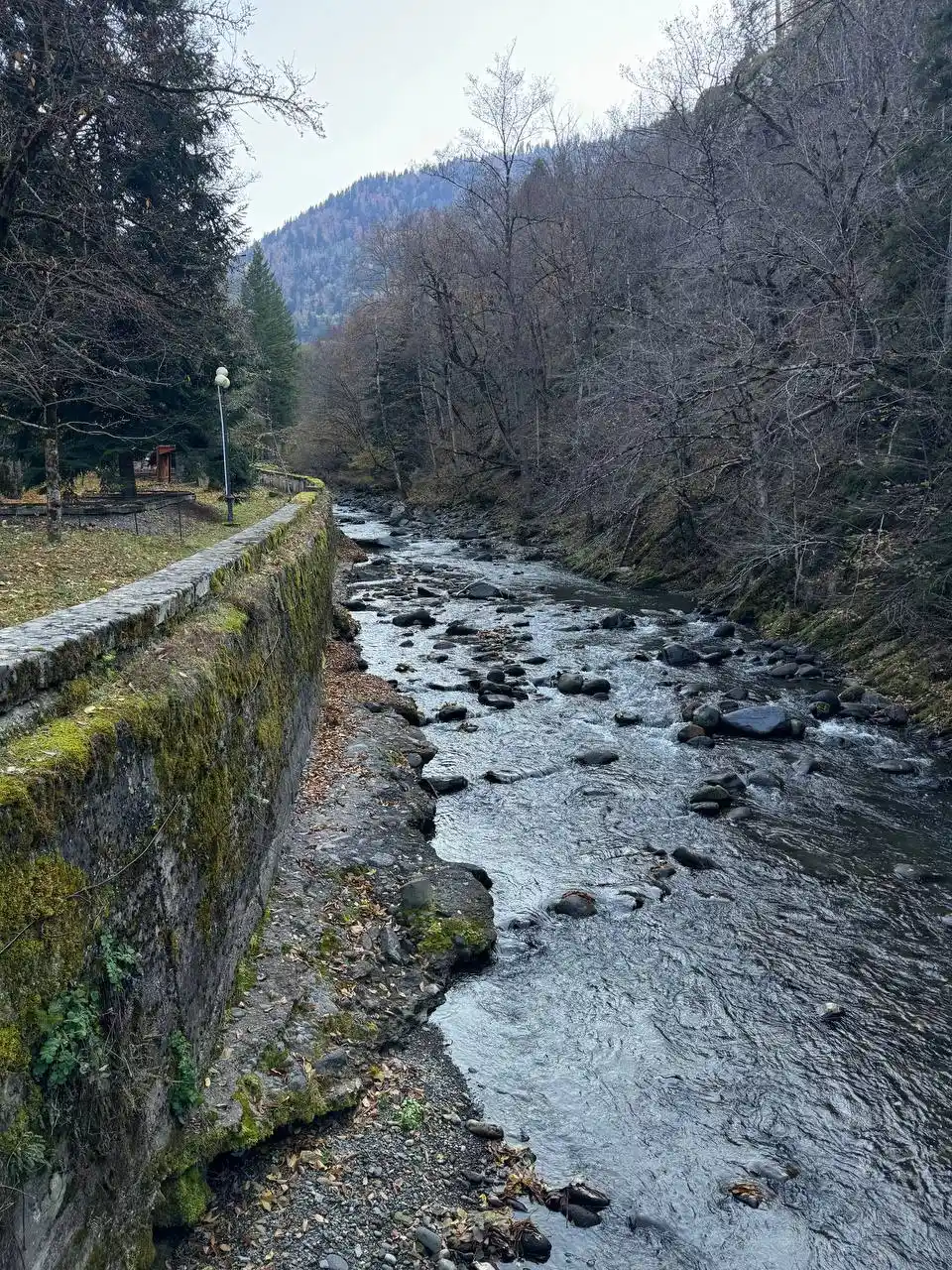 Borjomi central park old-growth forest and mineral spring — day trip from Tbilisi